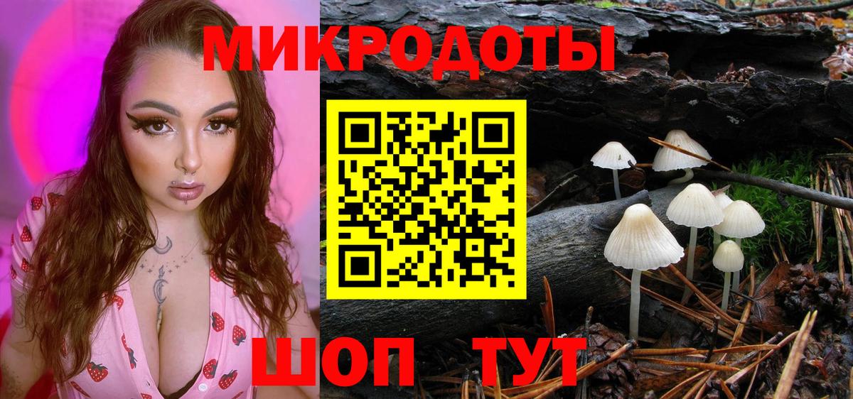 Камышлов  Галлюциногенные грибы мухоморы  Вход с VPN  Псилоцибиновые грибы прущие грибы 