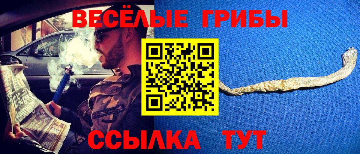 Псилоцибиновые грибы Magic Shrooms Камышлов